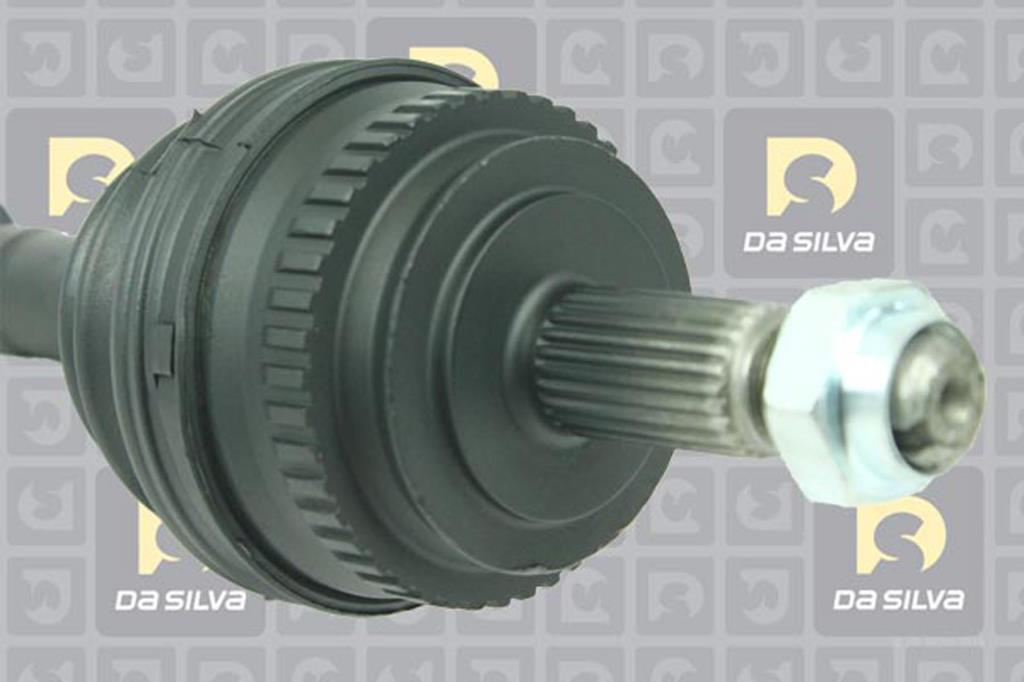 Cardã DA SILVA S.A.S. 5187AT