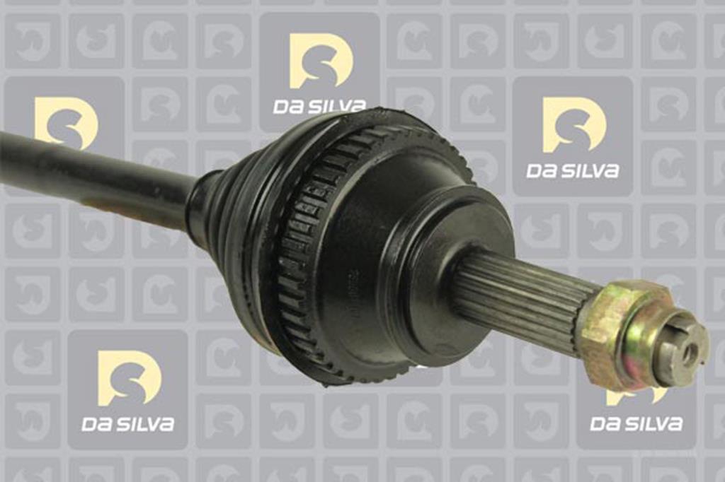 Cardã DA SILVA S.A.S. 5199AT