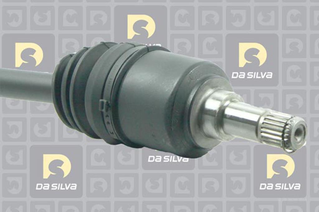 Cardã DA SILVA S.A.S. 5256T