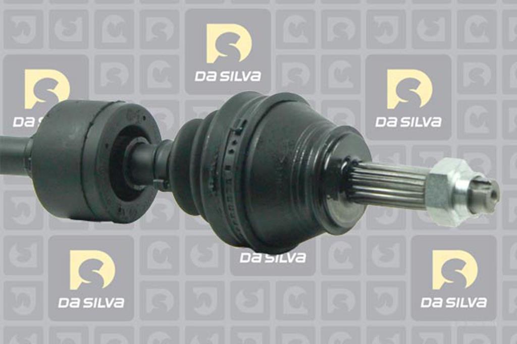 Cardã DA SILVA S.A.S. 5256T