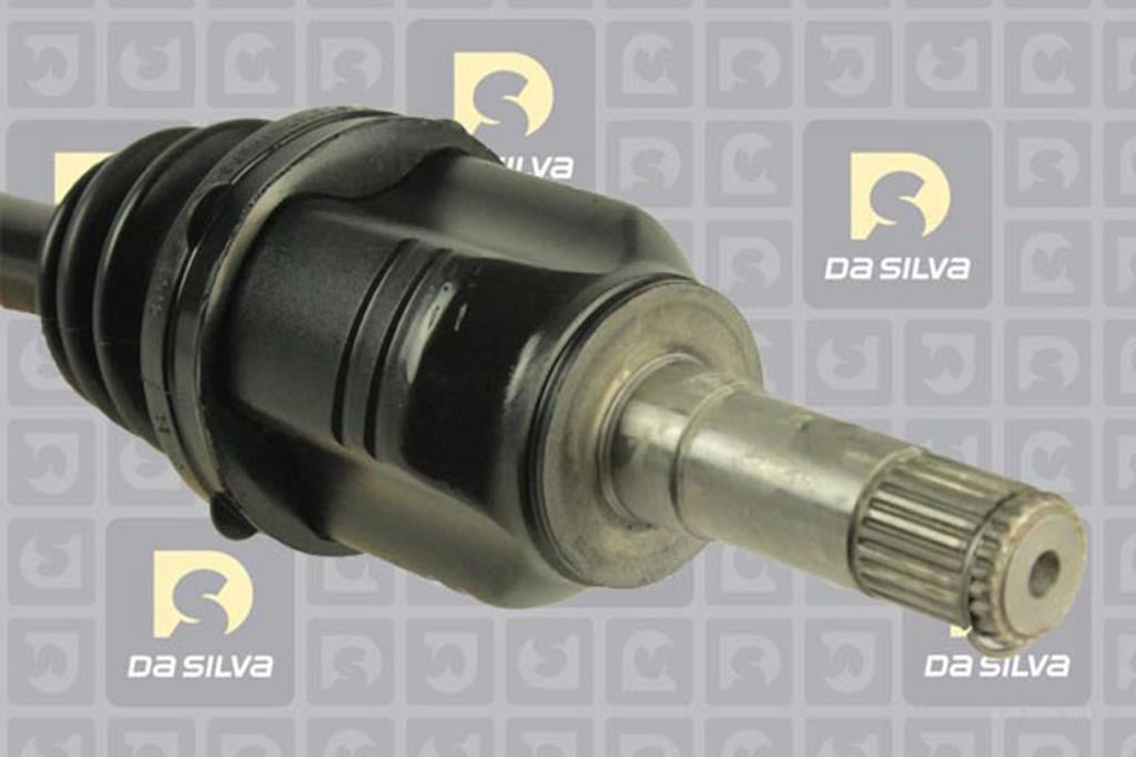 Cardã DA SILVA S.A.S. 5277T