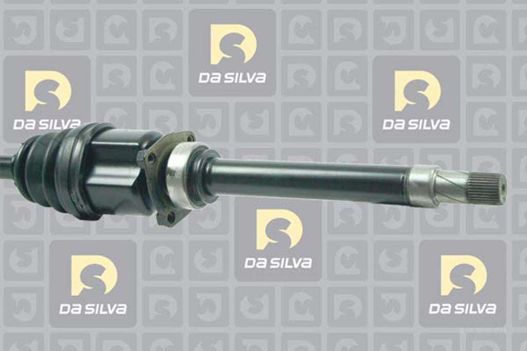 Cardã DA SILVA S.A.S. 5296T