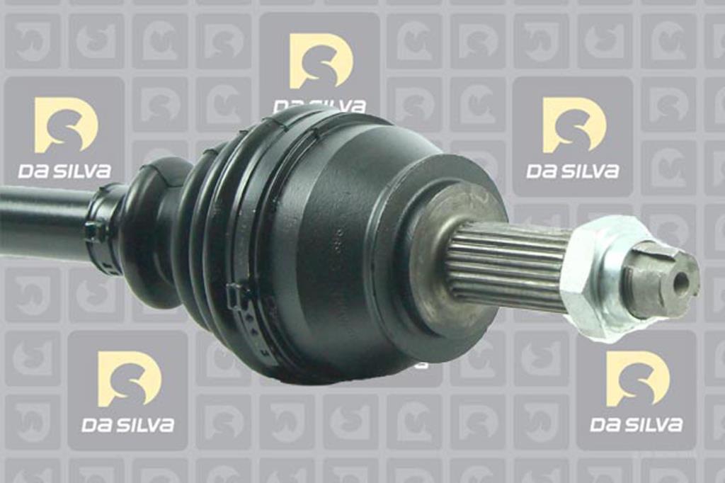 Cardã DA SILVA S.A.S. 5296T