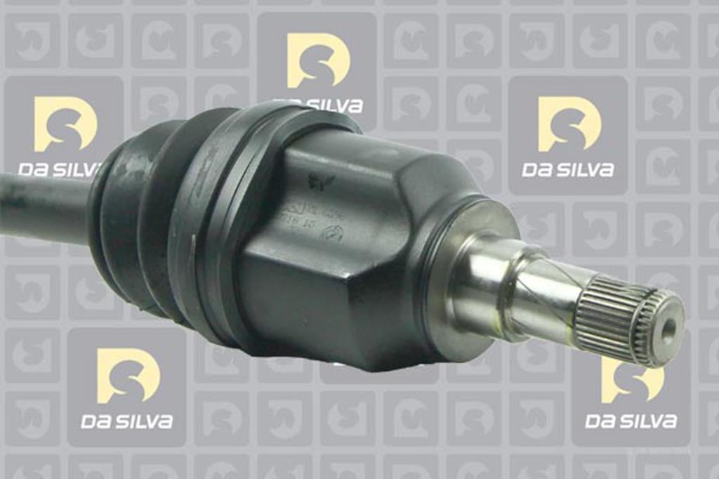 Cardã DA SILVA S.A.S. 5297T