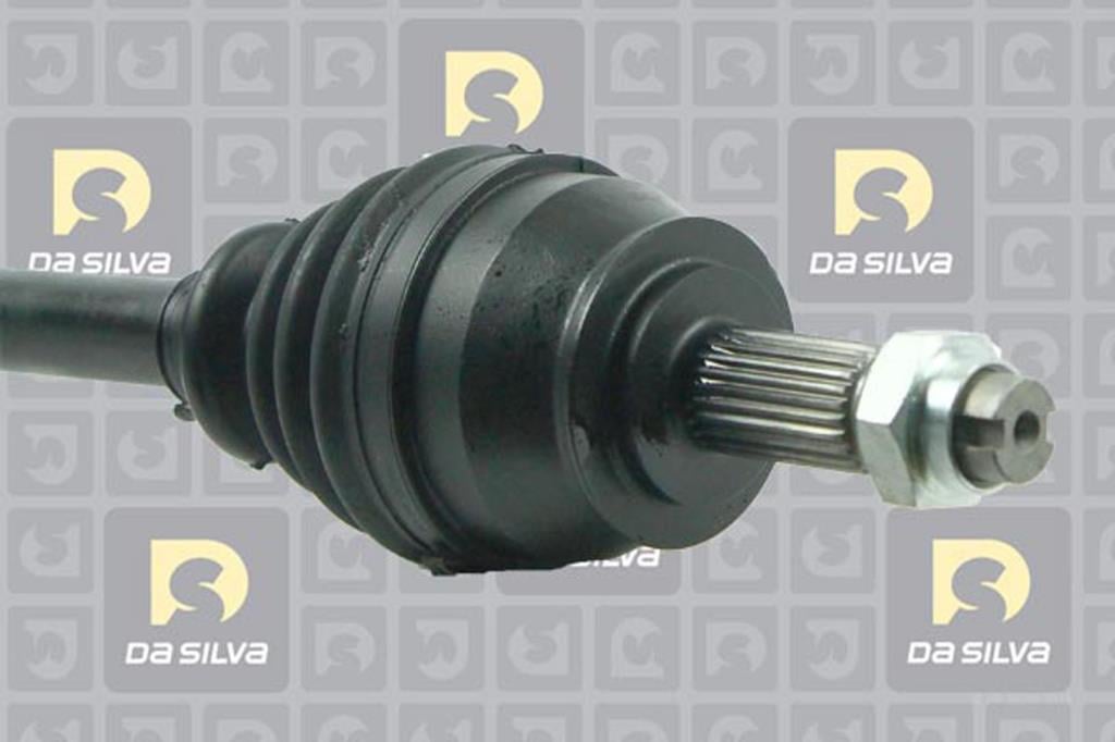 Cardã DA SILVA S.A.S. 5297T