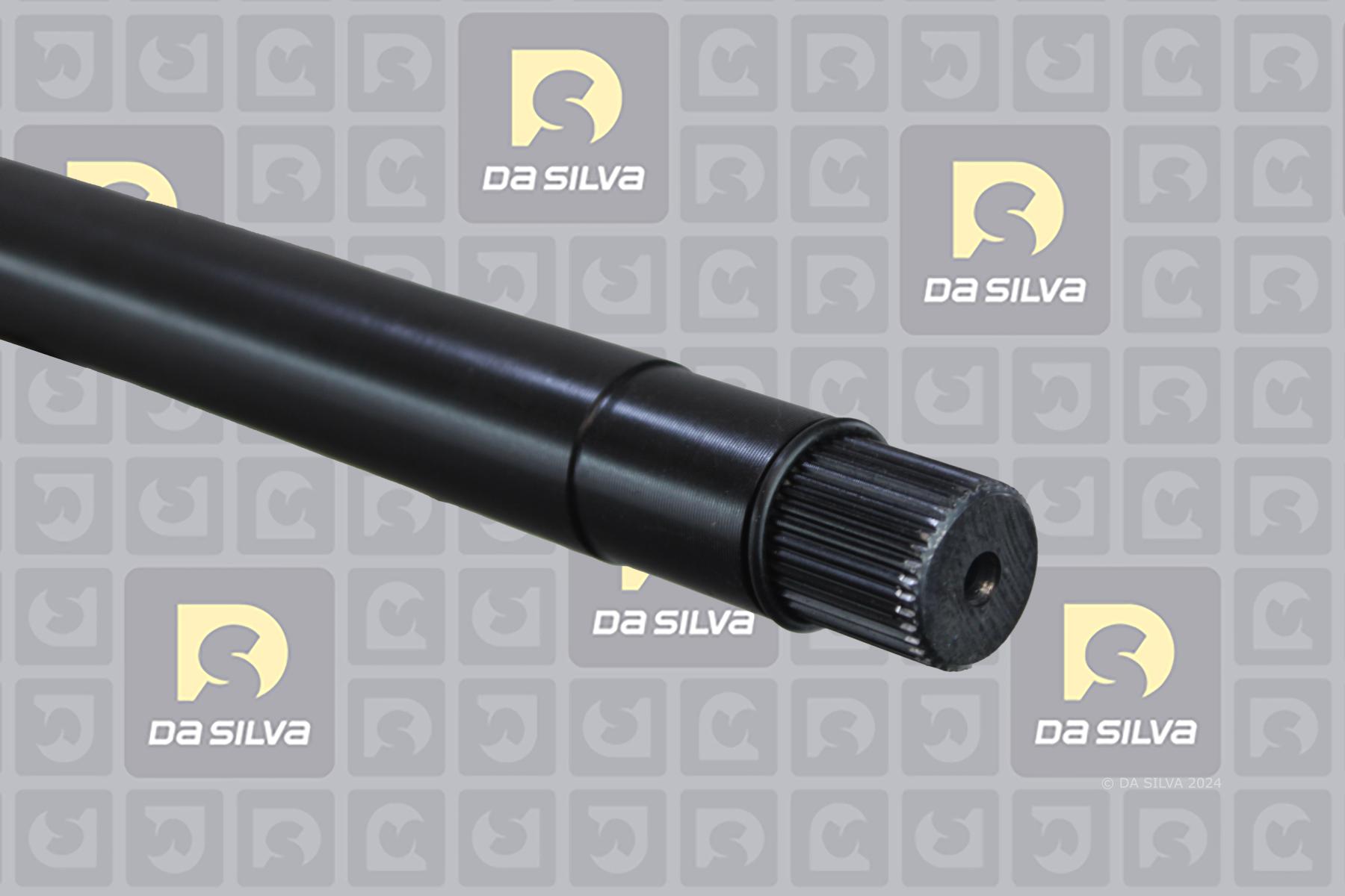 Cardã DA SILVA S.A.S. 5413T