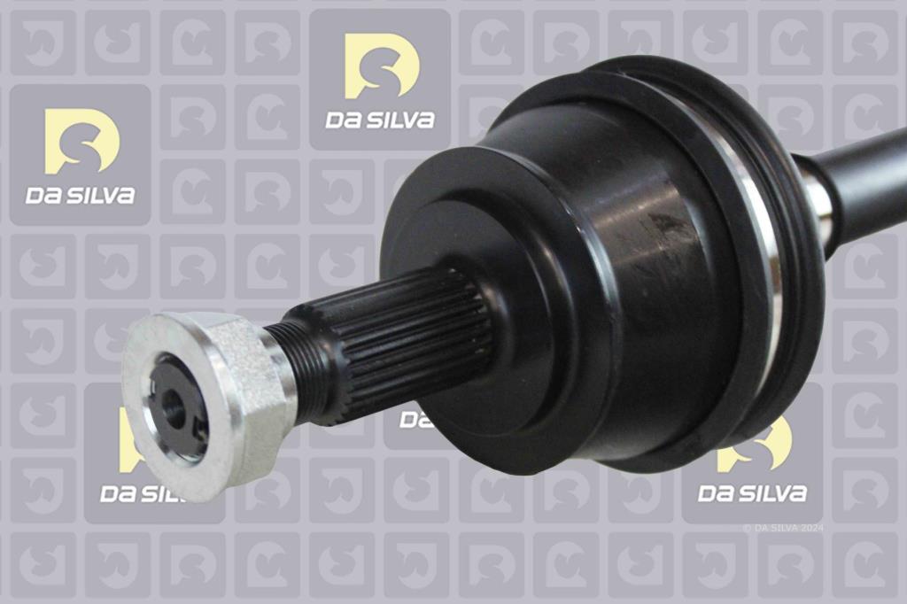 Cardã DA SILVA S.A.S. 5431T