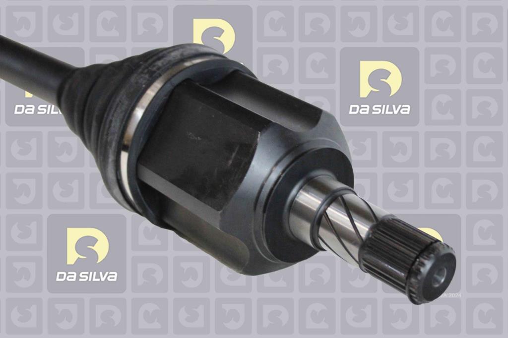 Cardã DA SILVA S.A.S. 5431T