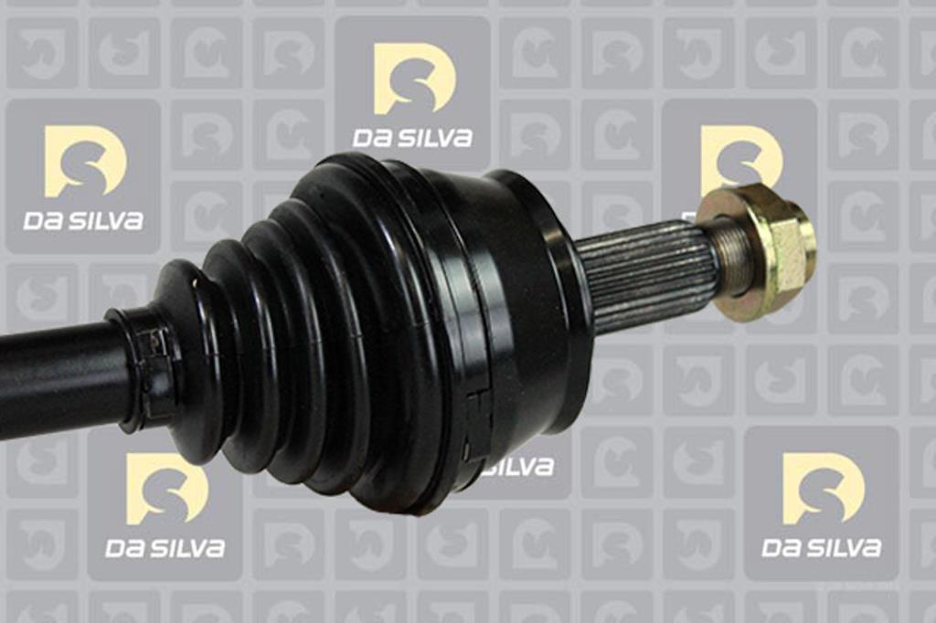 Cardã DA SILVA S.A.S. 5452T