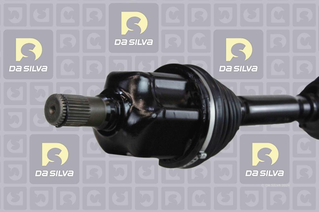 Cardan DA SILVA S.A.S. 5491T