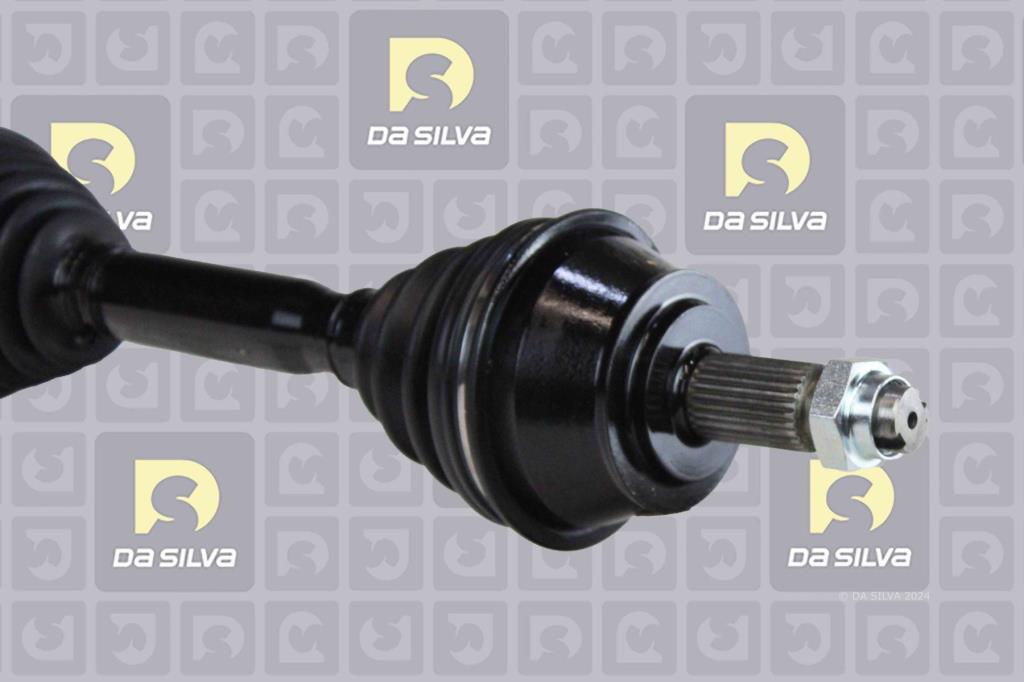 Cardan DA SILVA S.A.S. 5491T