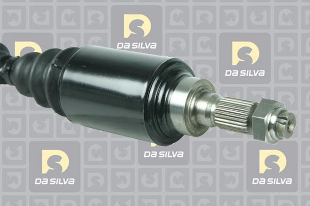 Cardã DA SILVA S.A.S. 552T