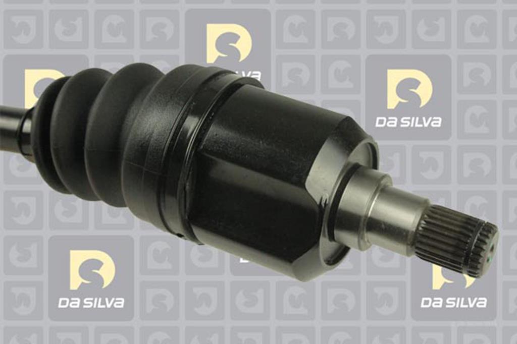 Cardã DA SILVA S.A.S. 6011AT