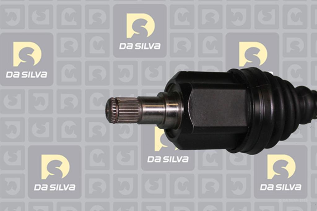 Cardã DA SILVA S.A.S. 6011T