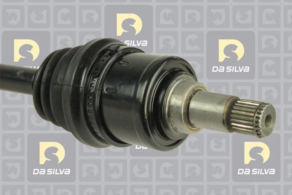 Cardã DA SILVA S.A.S. 6162T