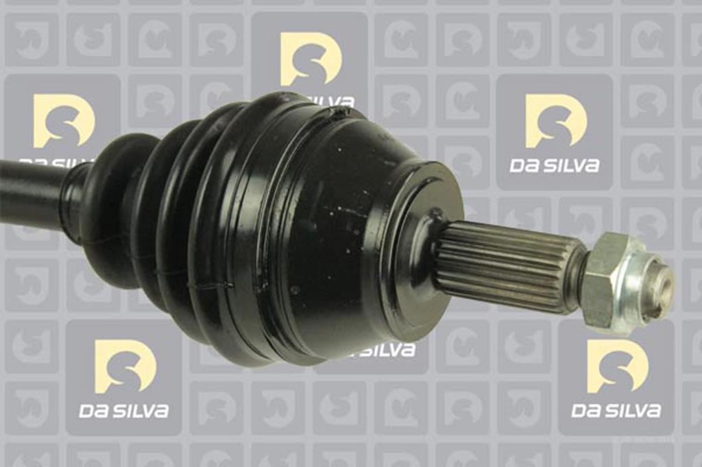Cardã DA SILVA S.A.S. 6162T
