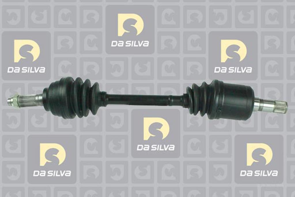 Cardã DA SILVA S.A.S. 6184T