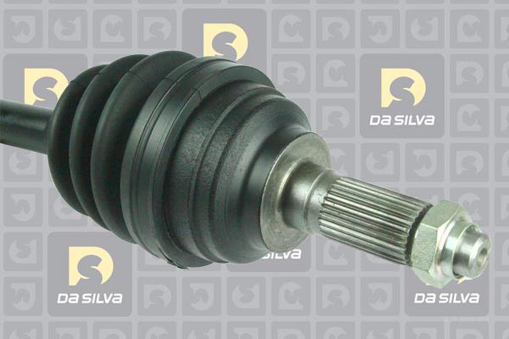 Cardã DA SILVA S.A.S. 6184T