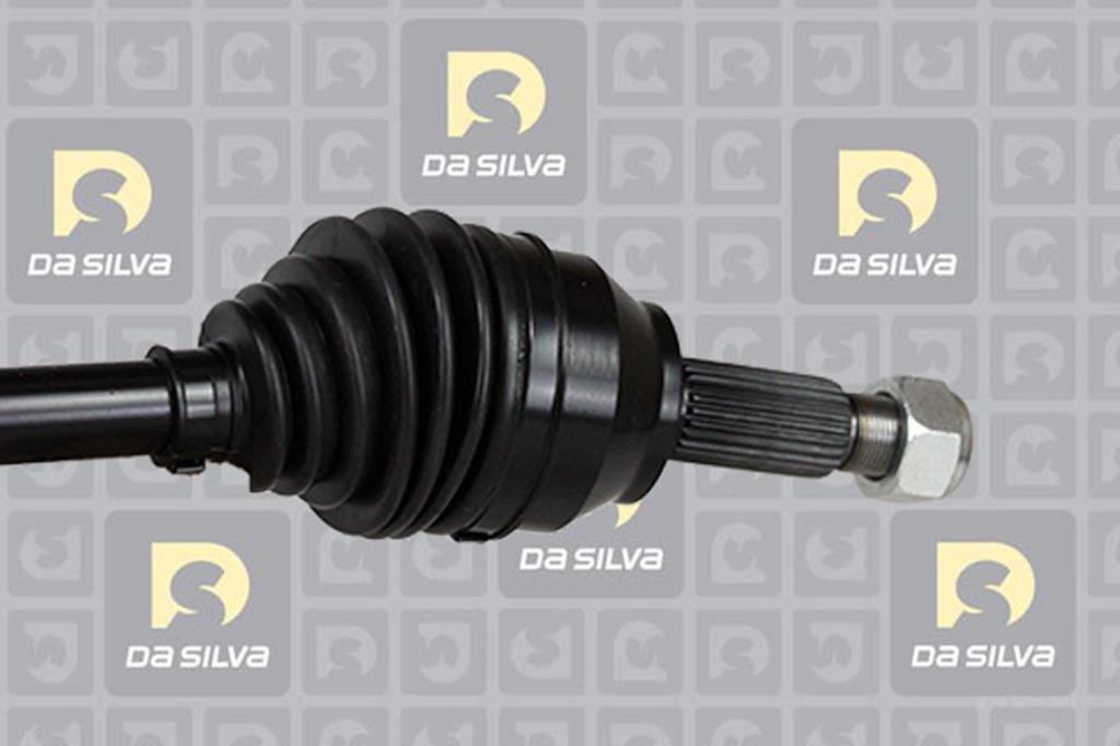 Cardã DA SILVA S.A.S. 6198T