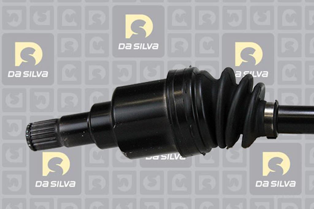 Cardã DA SILVA S.A.S. 6198T