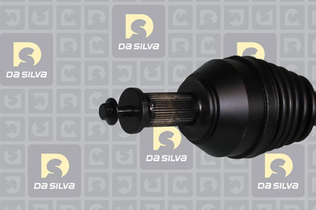 Cardã DA SILVA S.A.S. 6217T