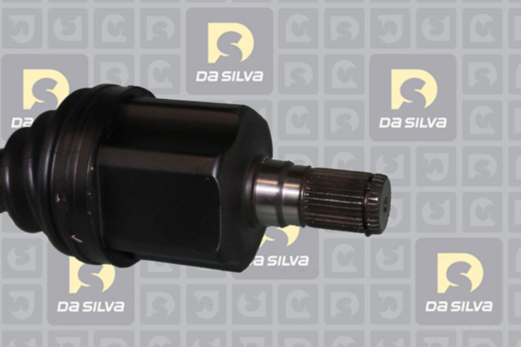 Cardã DA SILVA S.A.S. 6217T