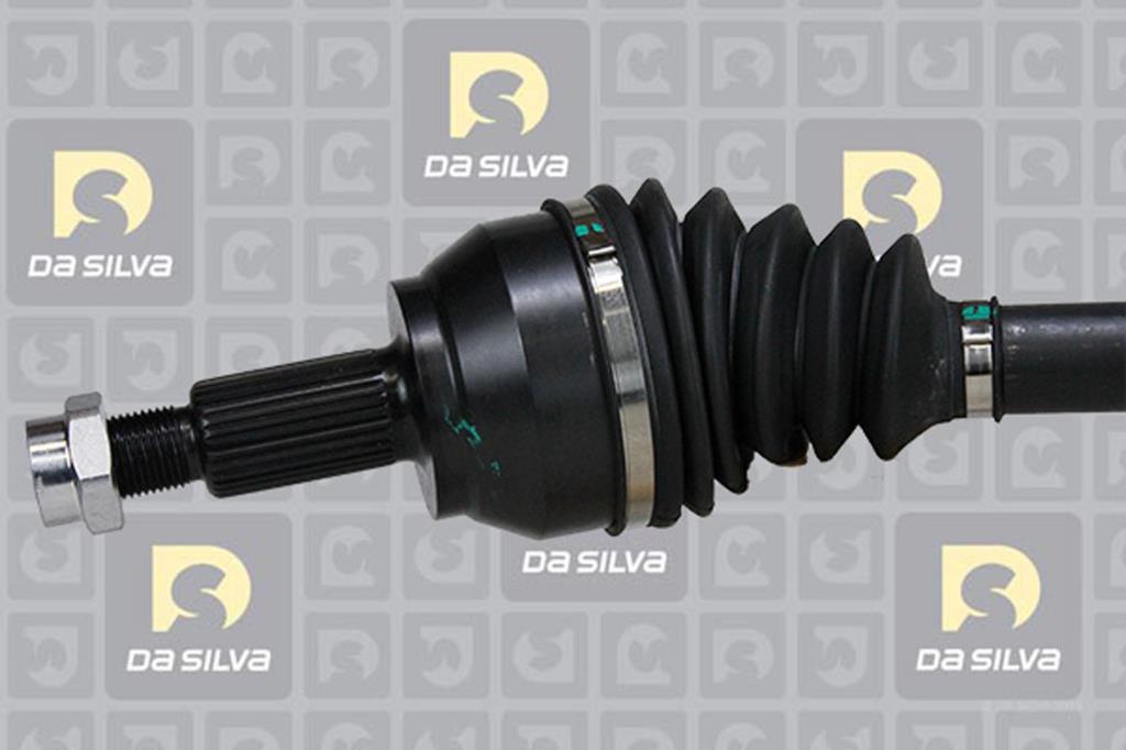 Cardã DA SILVA S.A.S. 6232T