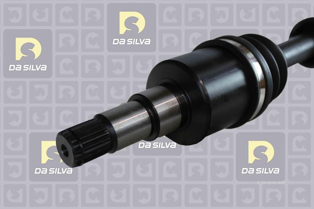 Cardã DA SILVA S.A.S. 6245T