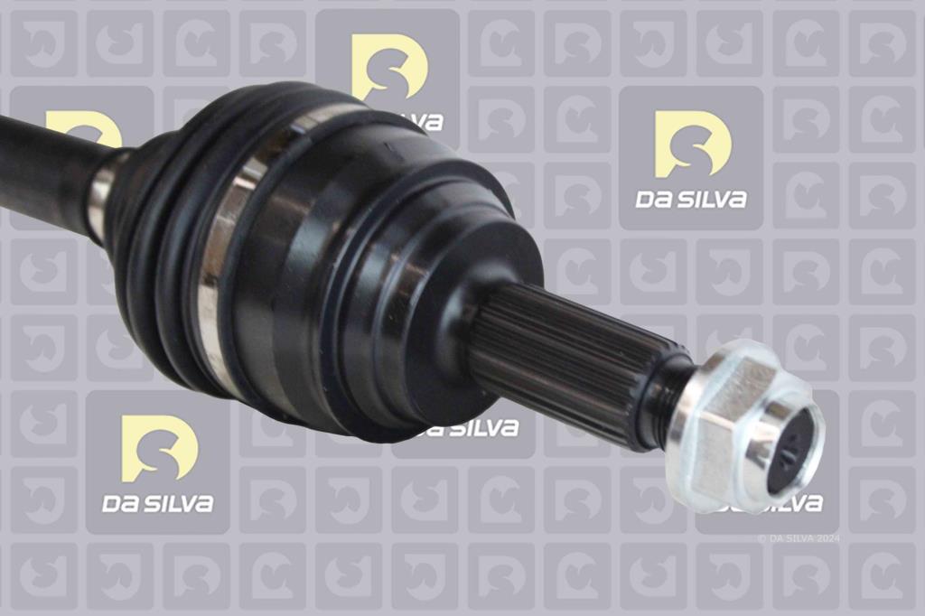 Cardã DA SILVA S.A.S. 6245T