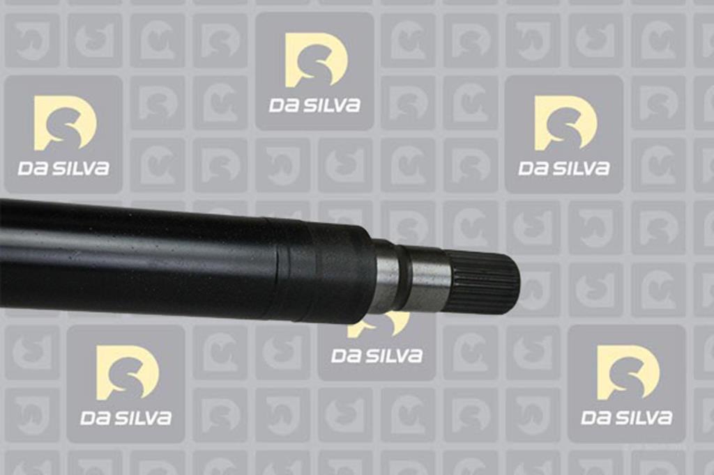 Cardã DA SILVA S.A.S. 6247T