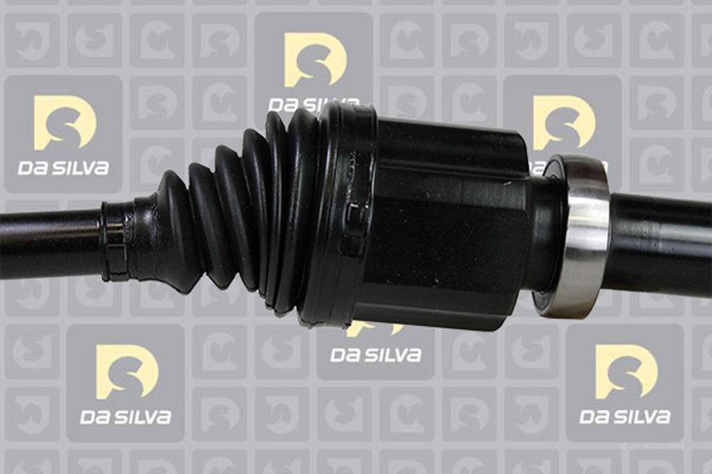 Cardã DA SILVA S.A.S. 6247T