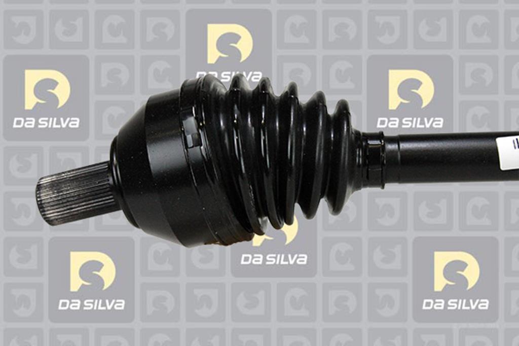 Cardã DA SILVA S.A.S. 6247T