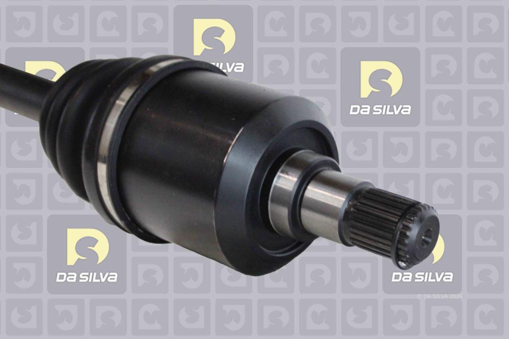 Cardã DA SILVA S.A.S. 6271AT