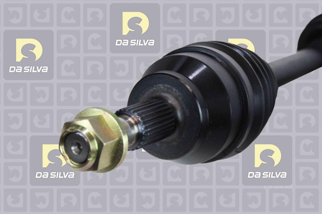 Cardã DA SILVA S.A.S. 6274T
