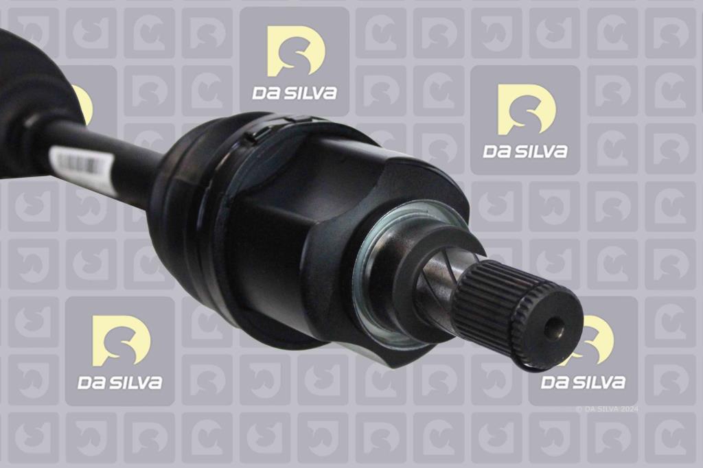 Cardã DA SILVA S.A.S. 6274T