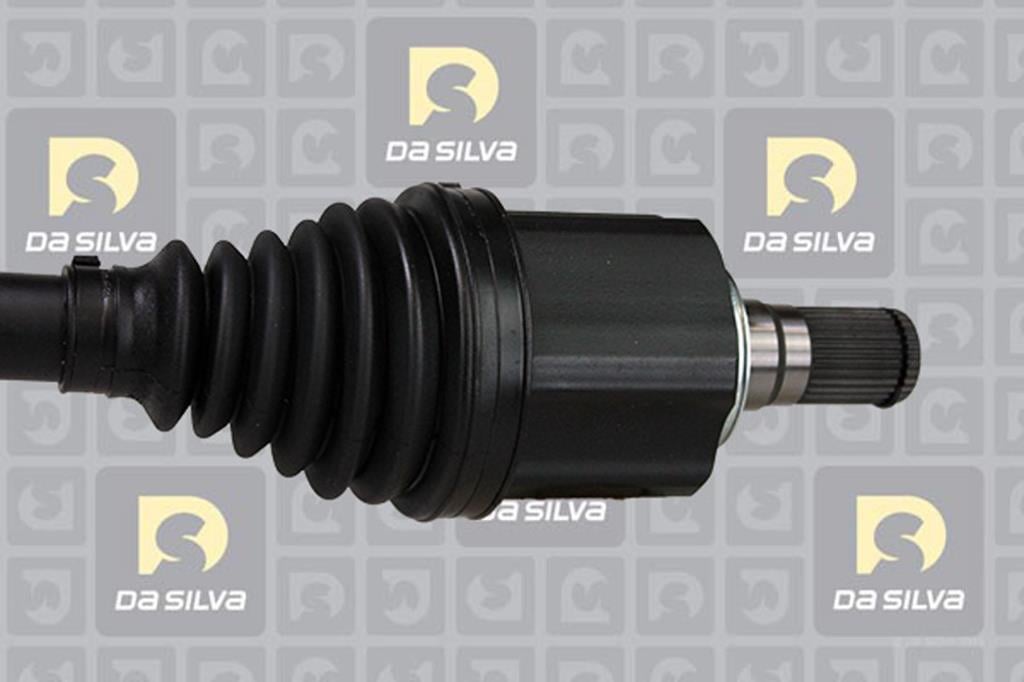 Cardã DA SILVA S.A.S. 6281T