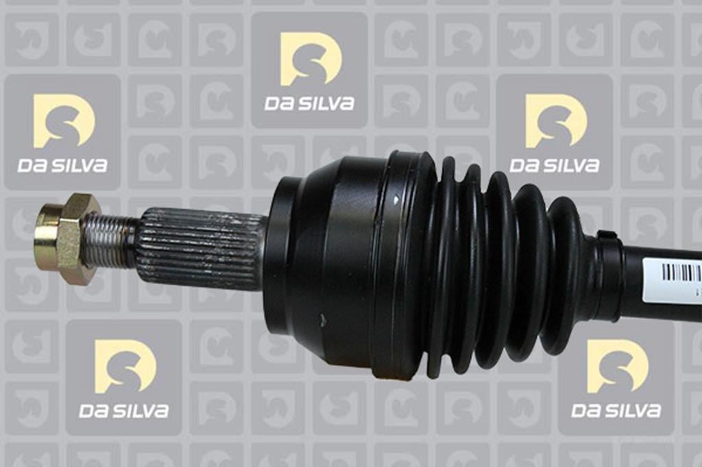 Cardã DA SILVA S.A.S. 6281T