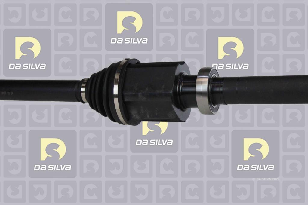 Cardã DA SILVA S.A.S. 6312T