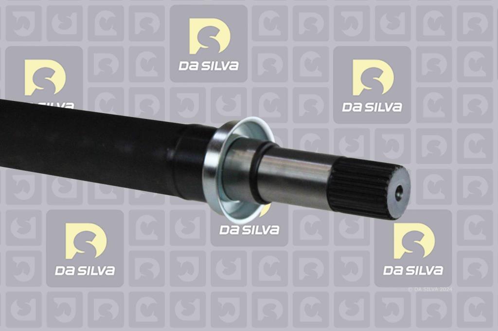 Cardã DA SILVA S.A.S. 6312T