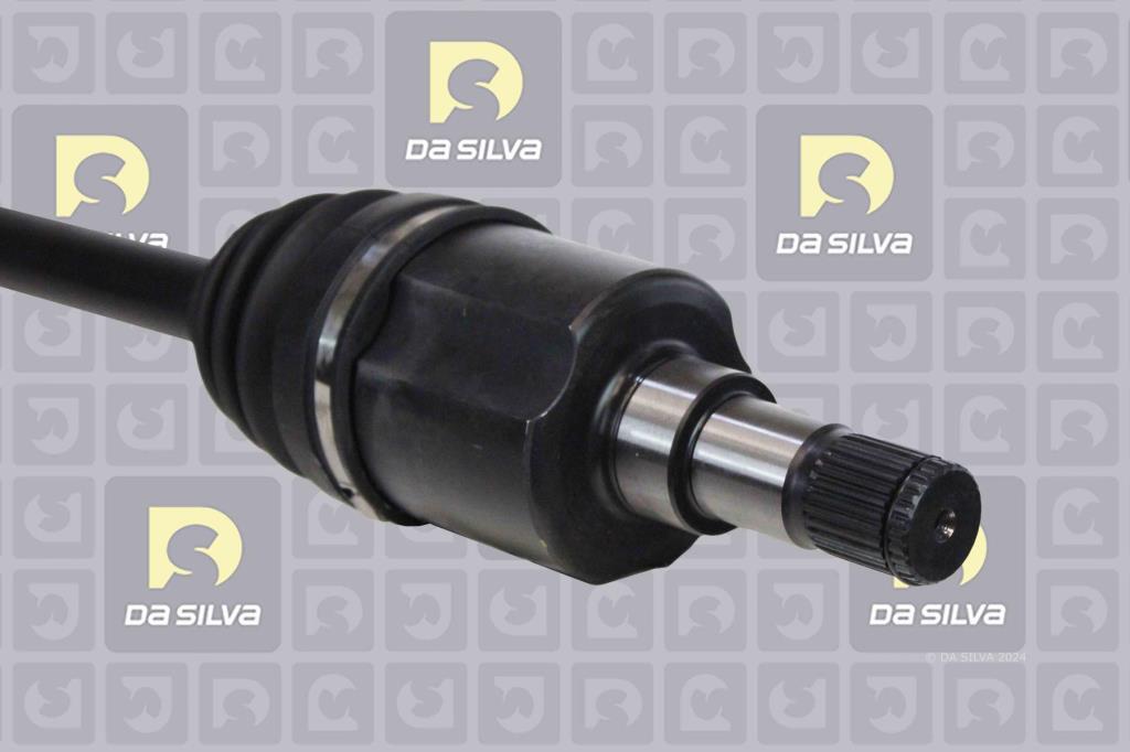 Cardã DA SILVA S.A.S. 6314T