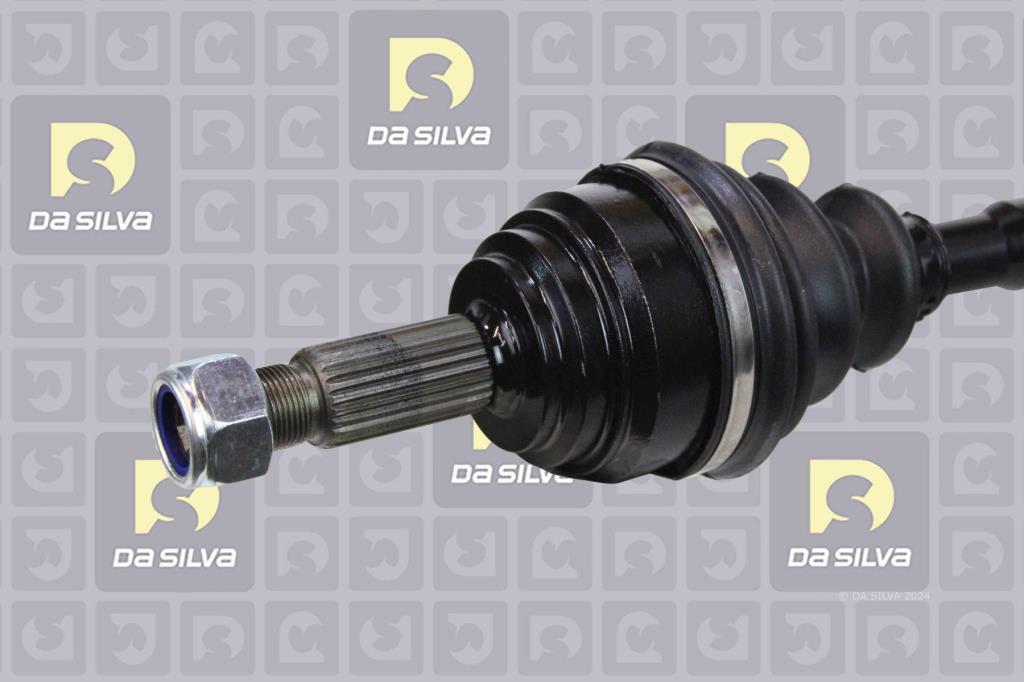 Cardã DA SILVA S.A.S. 6320T