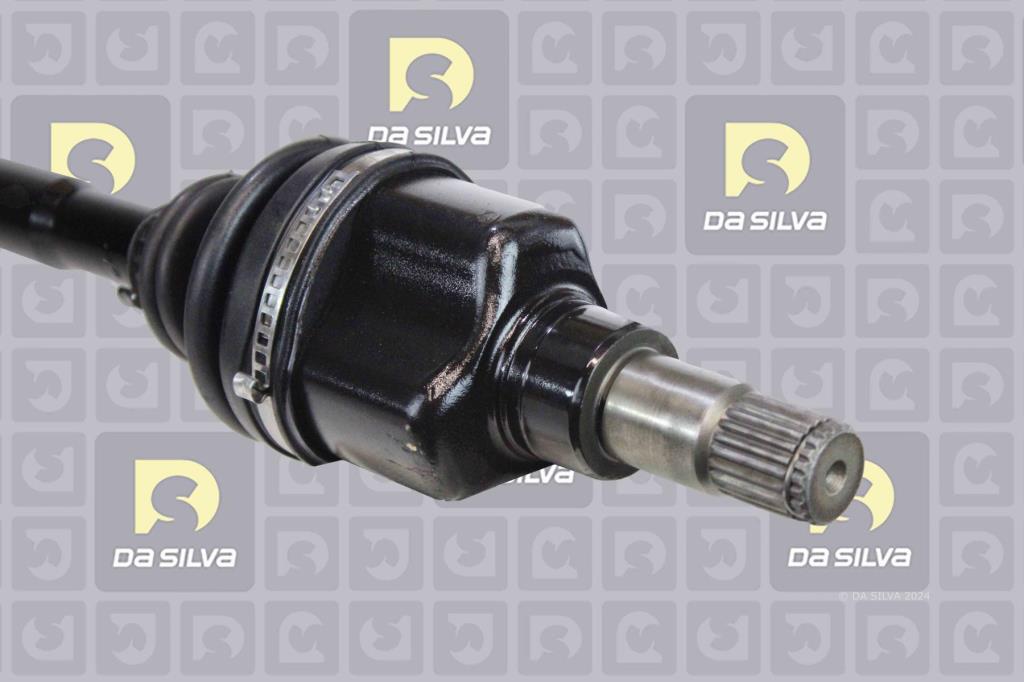 Cardã DA SILVA S.A.S. 6320T