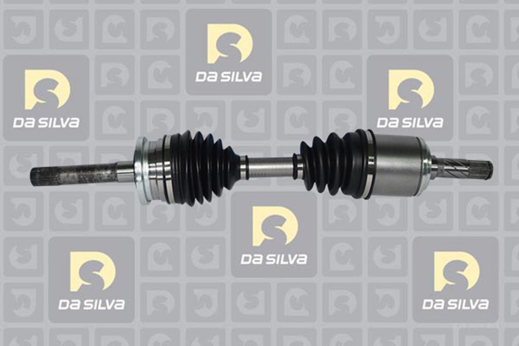Cardã DA SILVA S.A.S. 6534T