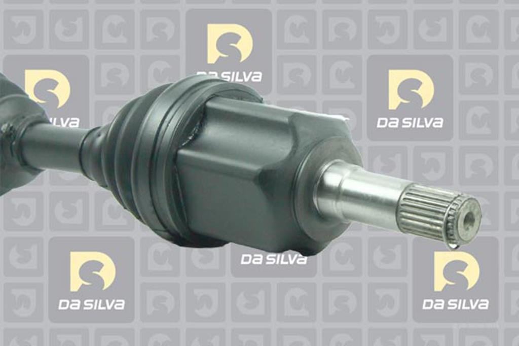 Cardã DA SILVA S.A.S. 7153T