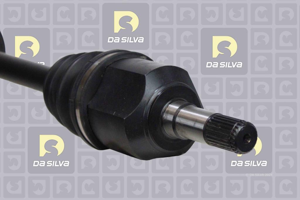 Cardã DA SILVA S.A.S. 7155T