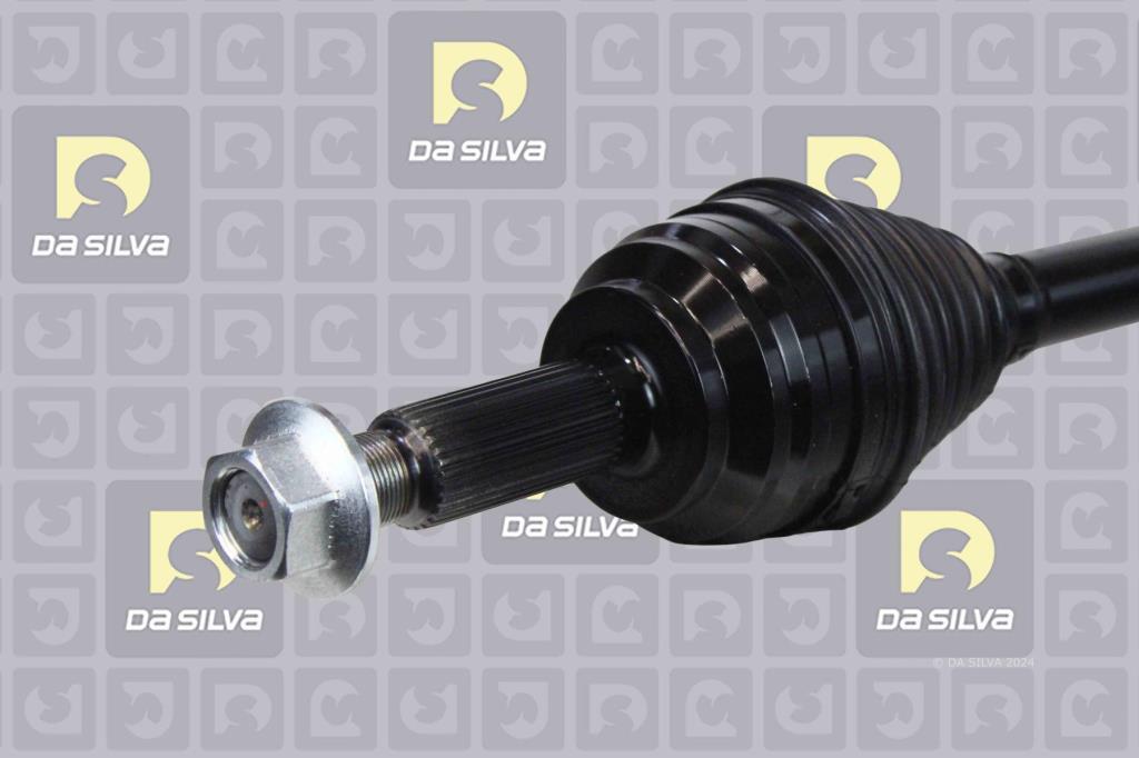 Cardã DA SILVA S.A.S. 7204T