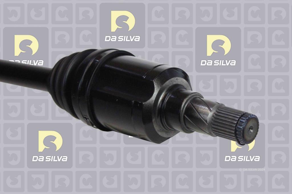 Cardã DA SILVA S.A.S. 7204T