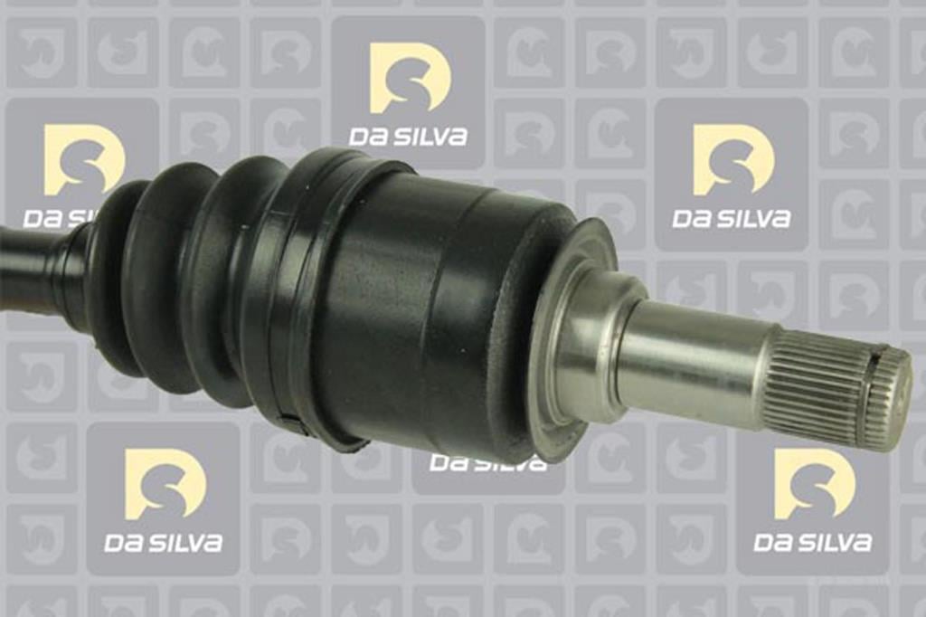 Cardã DA SILVA S.A.S. 8139T
