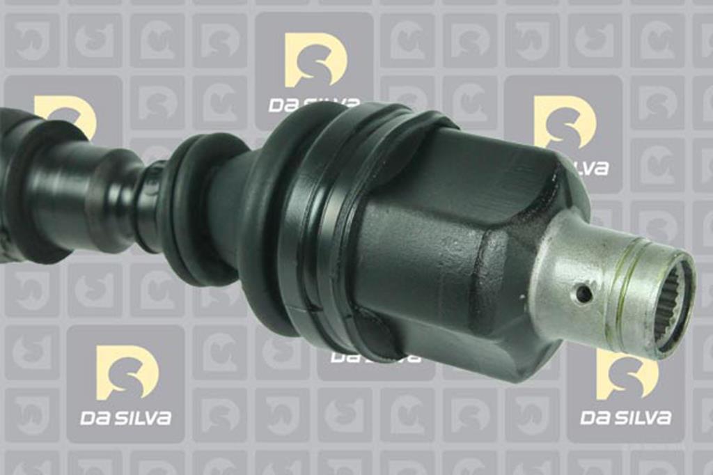Cardan DA SILVA S.A.S. 81901AT