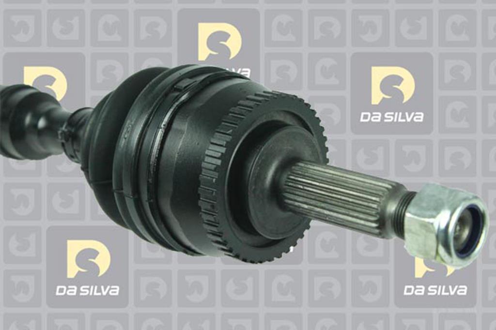 Cardan DA SILVA S.A.S. 81901AT